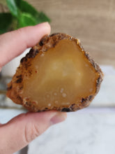 Load image into Gallery viewer, Agate Slice #1
