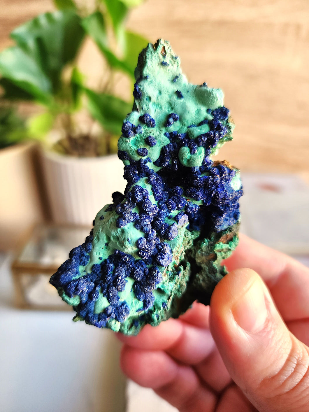 Azurite & Malachite Specimen #4