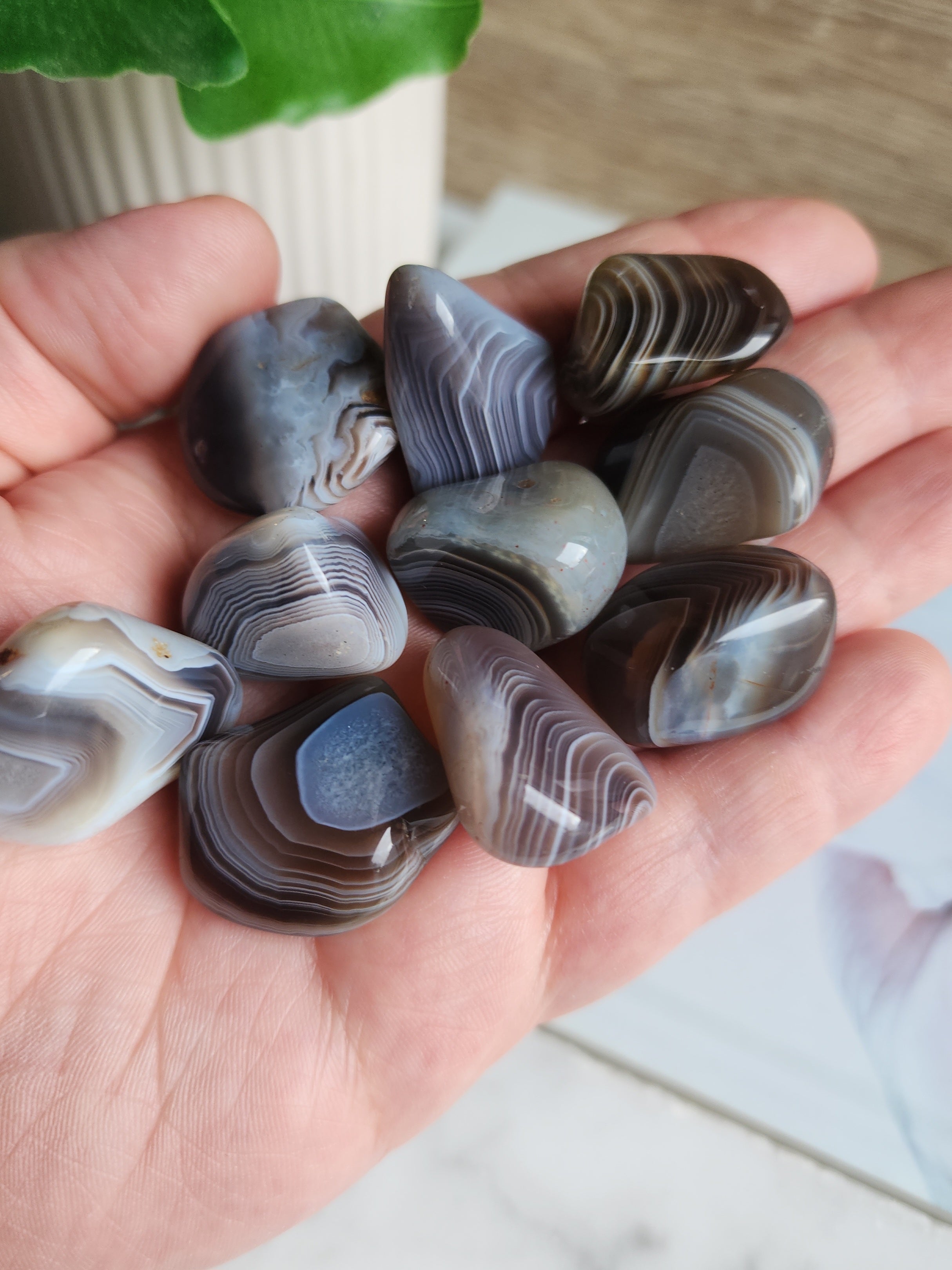 Polished Botswana Agate tumble stone displaying natural banding in shades of grey, cream, and soft pink.