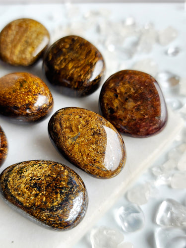 Elevate your confidence and resilience with Bronzite, the powerful grounding crystal that banishes fears and nurtures self-assurance. Let it calm your mind, guiding you to make confident, growth-fueled decisions