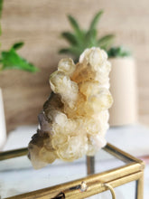 Load image into Gallery viewer, Yellow and Black Calcite Cluster #1
