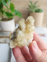 Load image into Gallery viewer, Yellow and Black Calcite Cluster #1
