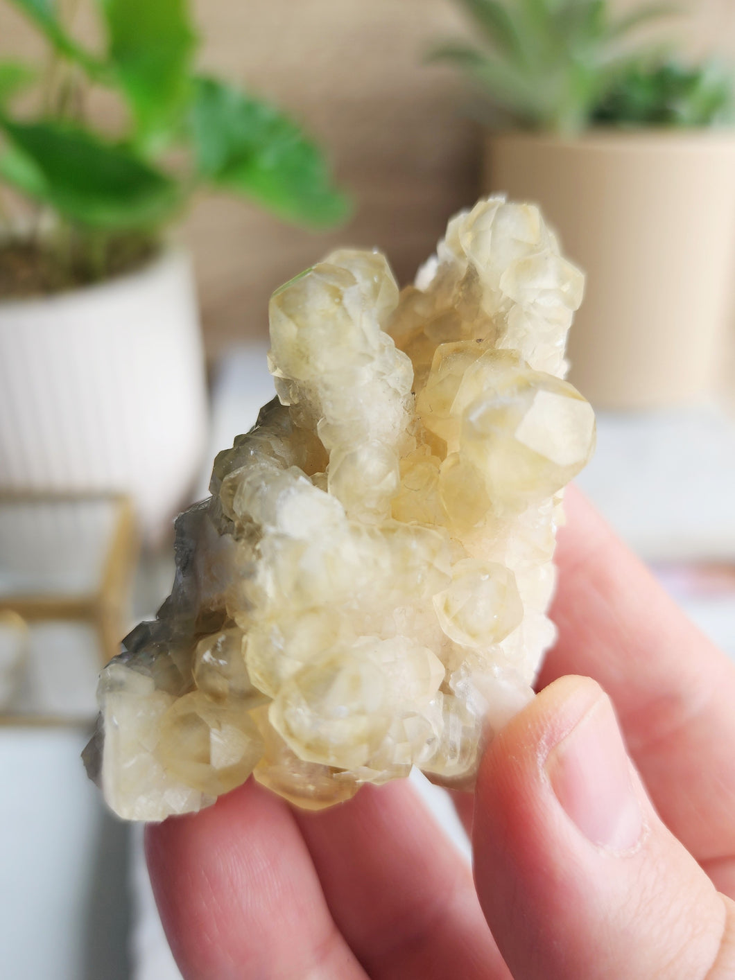 Yellow and Black Calcite balances creativity and confidence with grounding and emotional healing. It supports transformation, stability, and new beginnings