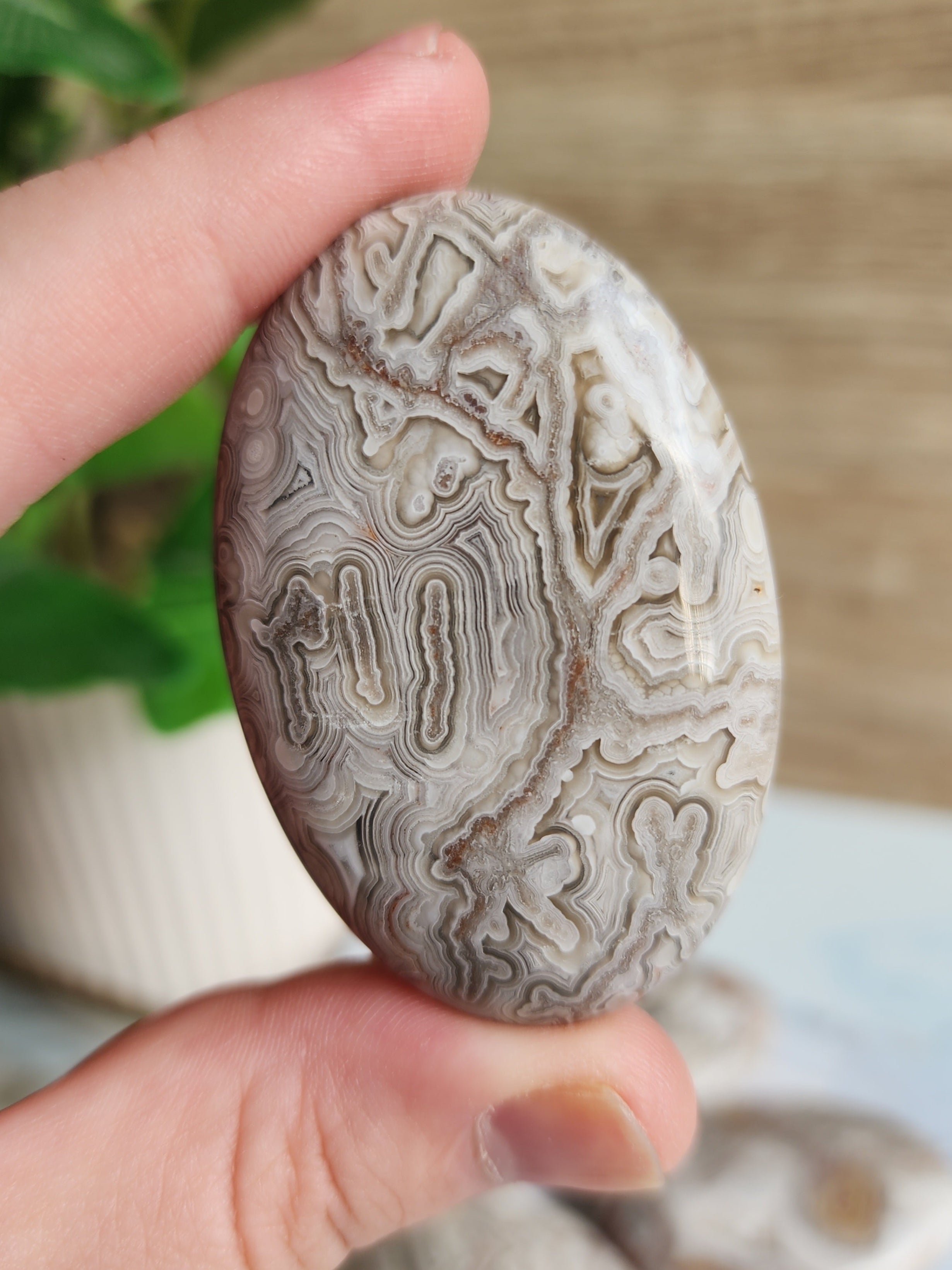 Polished Crazy Lace Agate palm stone displaying intricate natural banding in cream, gold, grey, and red tones