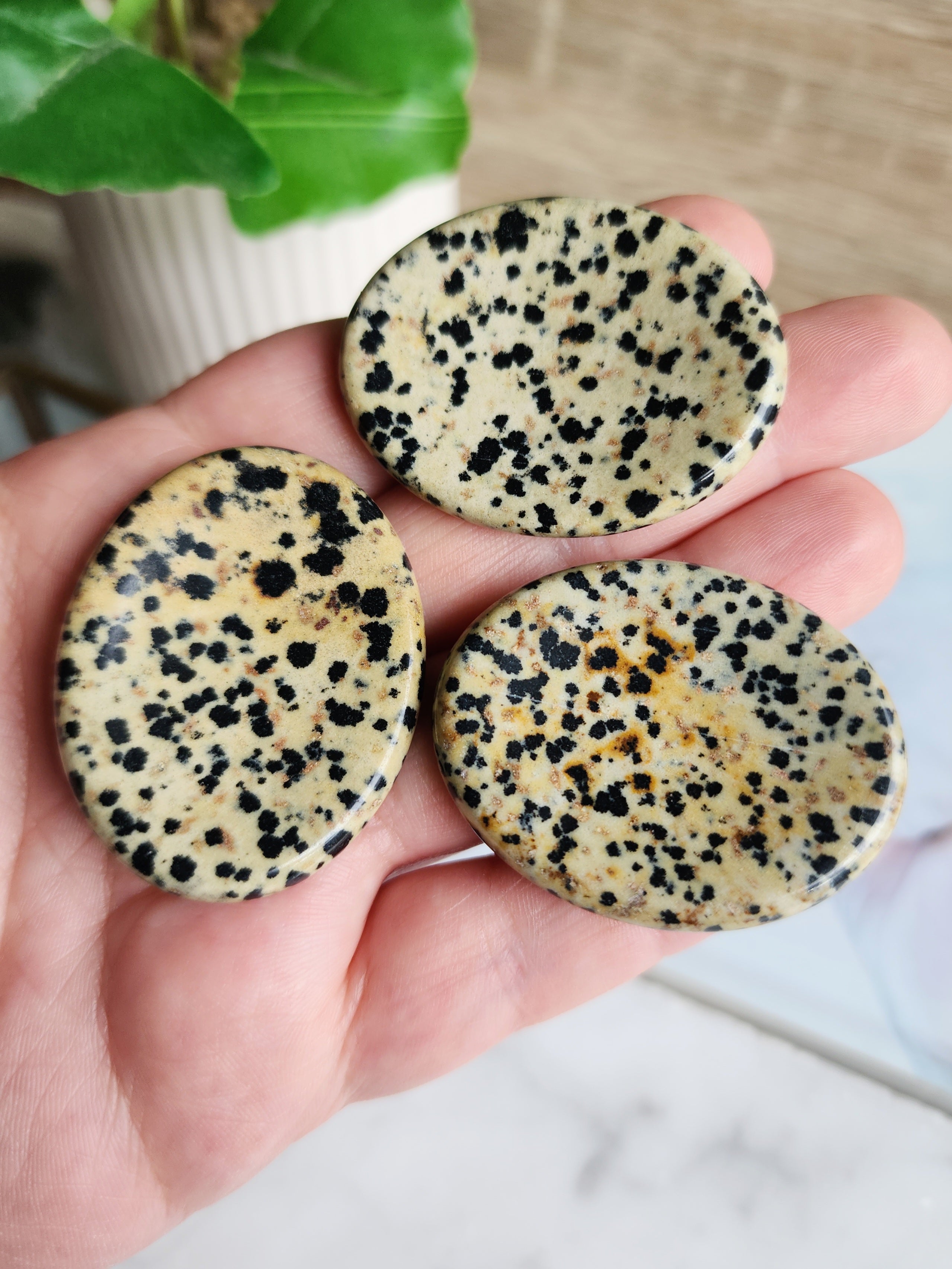 Polished Dalmatian Jasper worry stone featuring natural black spots on a cream-coloured background