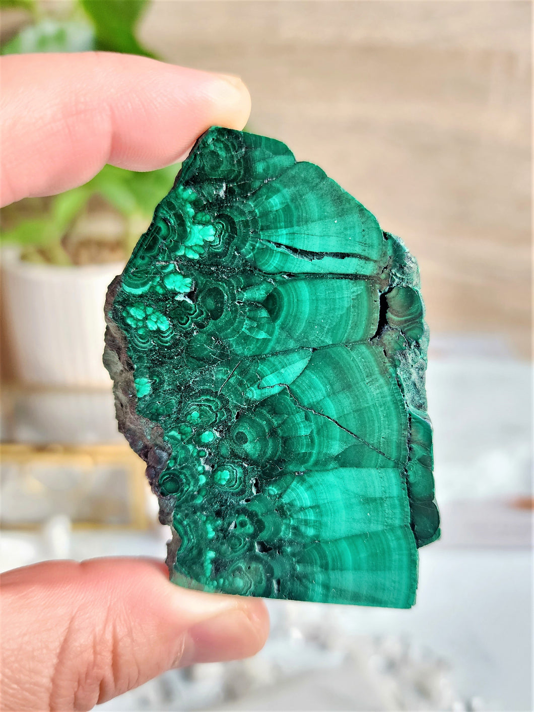 Malachite is believed to possess powerful spiritual properties that can aid in emotional healing, transformation, and protection, while also enhancing intuition and promoting spiritual growth.
