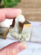 Load image into Gallery viewer, Pyrite on Limestone
