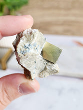Load image into Gallery viewer, Pyrite on Limestone
