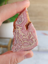 Load image into Gallery viewer, Rhodochrosite Slice #5
