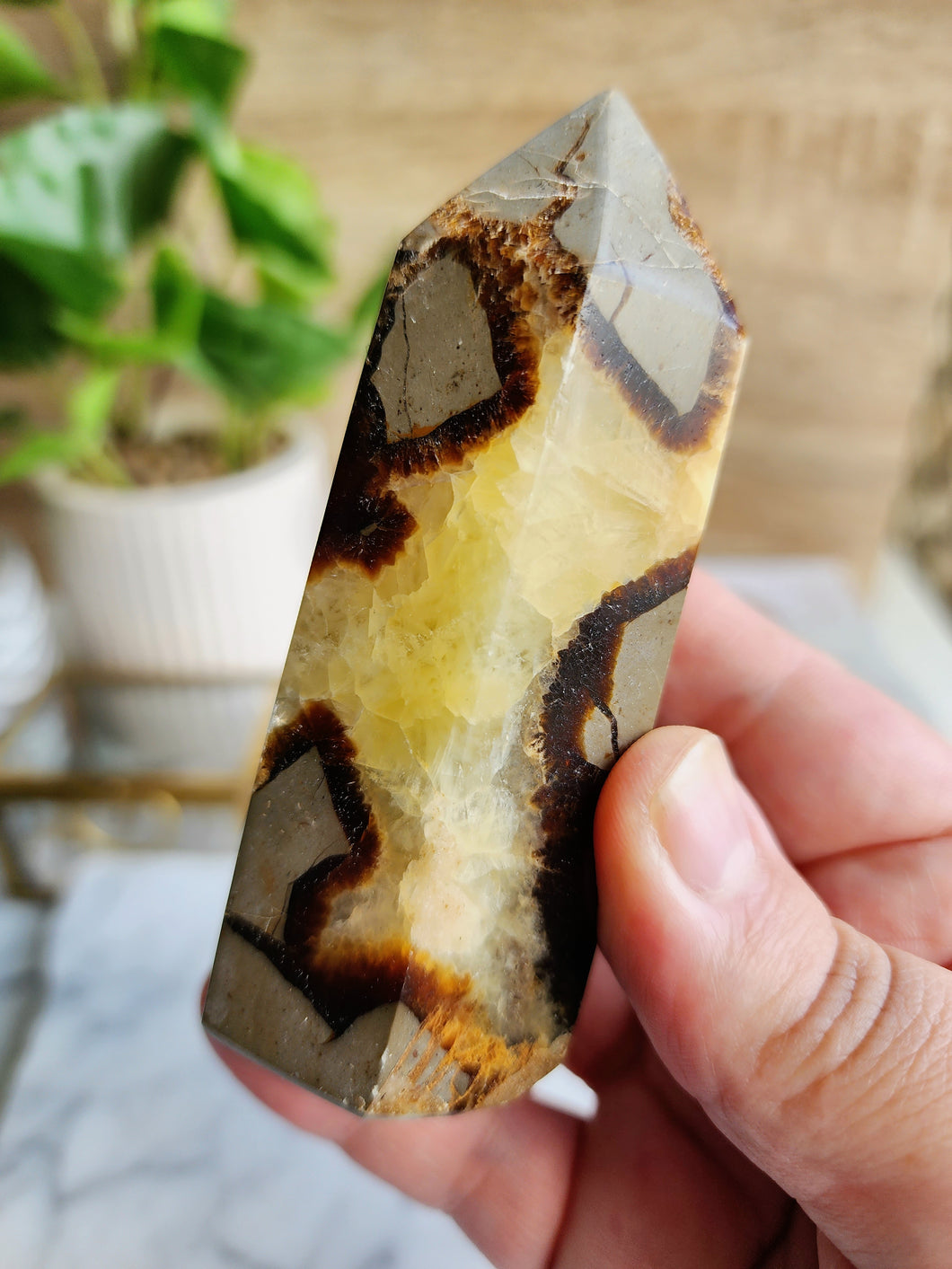 Septarian Tower - 9.5cm