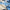 Promotion banner