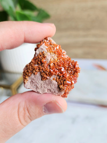  Vanadinite, known for its vivid crimson color, is made of lead chloride and vanadium. Its eye-catching red-orange crystals, often grouped together in beautiful patterns, are thought to inspire creativity and adventure. Let Vanadinite's special energy guide you as you explore and discover more about yourself