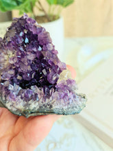 Load image into Gallery viewer, The perfect piece to bring calming, soothing energies into your home. Amethyst helps you think clearly and slow down your thoughts to manage your stress and anxieties better. With beautiful, vivid purple shades, this crystal will be the perfect addition to your collection
