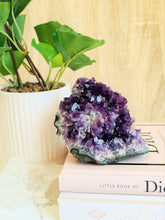 Load image into Gallery viewer, Amethyst Cluster (B) - Self Standing
