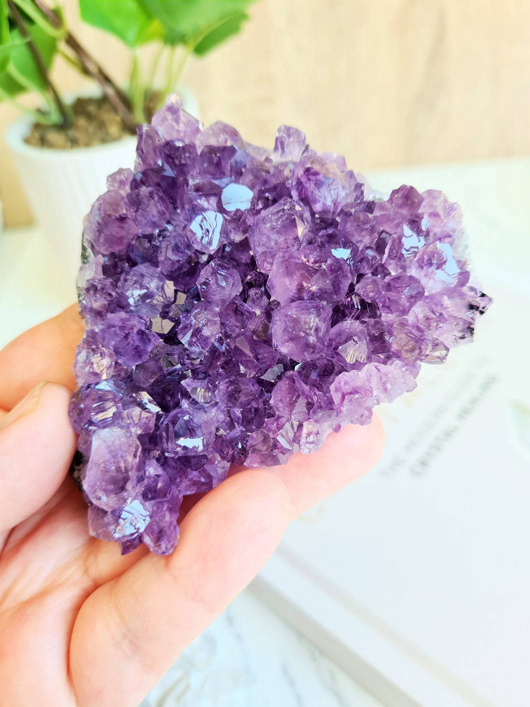 Amethyst Cluster (C)