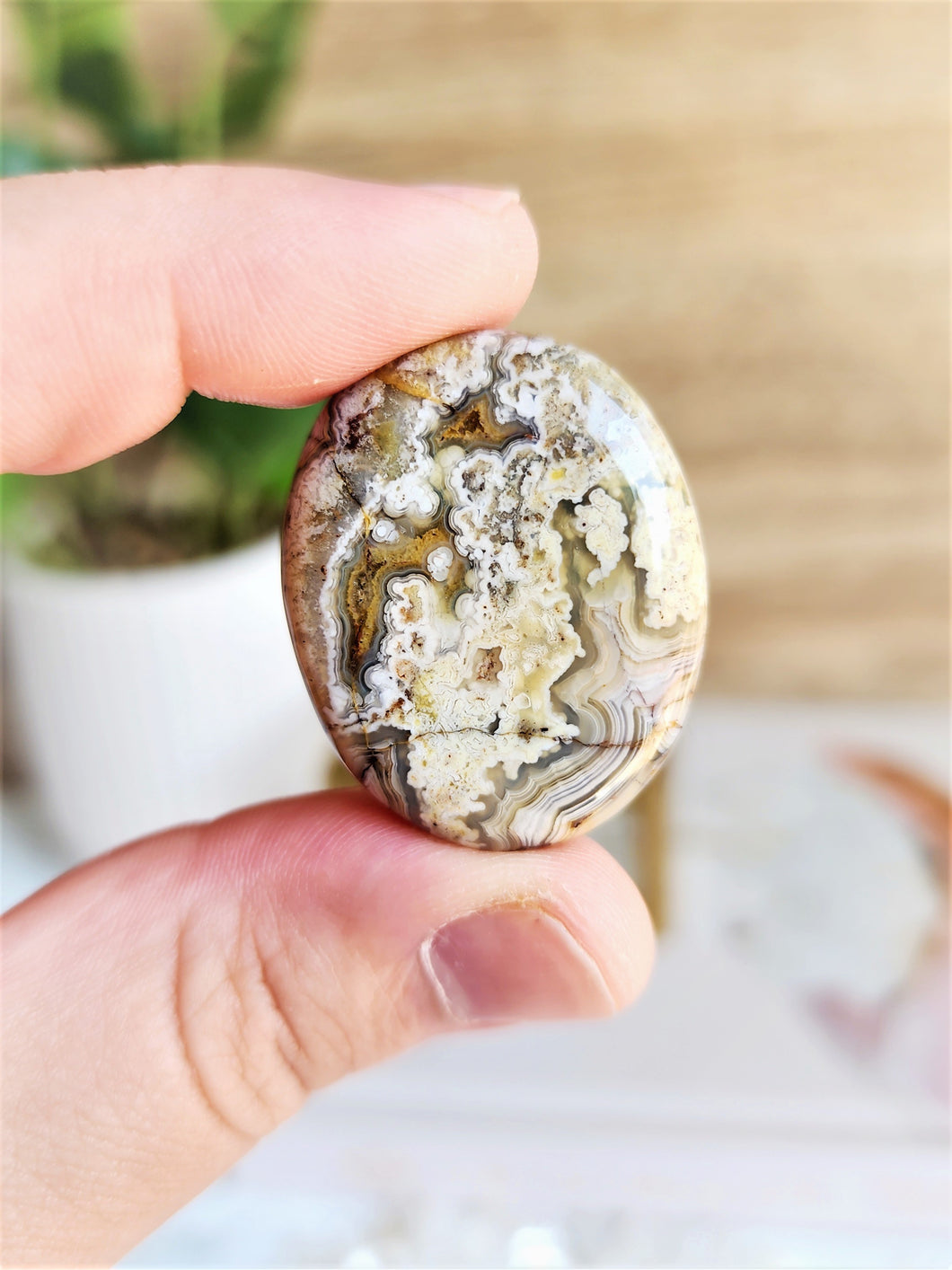 Crazy Lace Agate Palm Stone - Small